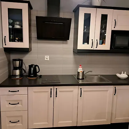 Kopernik-us 2 - Old Town 公寓 克拉科夫