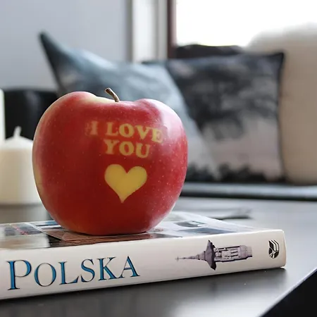 Kopernik-us 2 - Old Town *